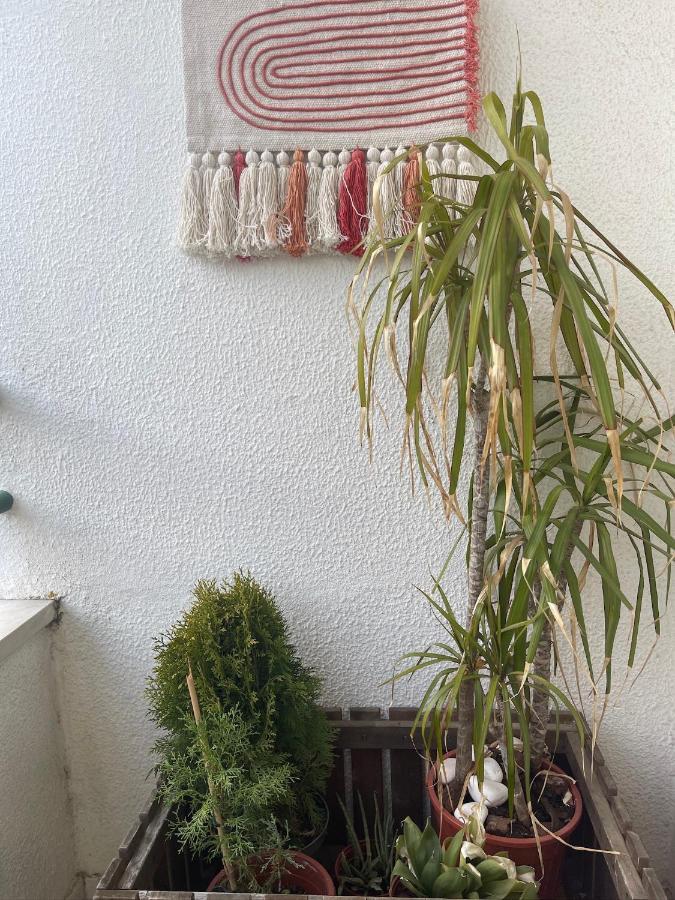 BestHomeStay- Caparica Beach Lisbon Almada Zewnętrze zdjęcie