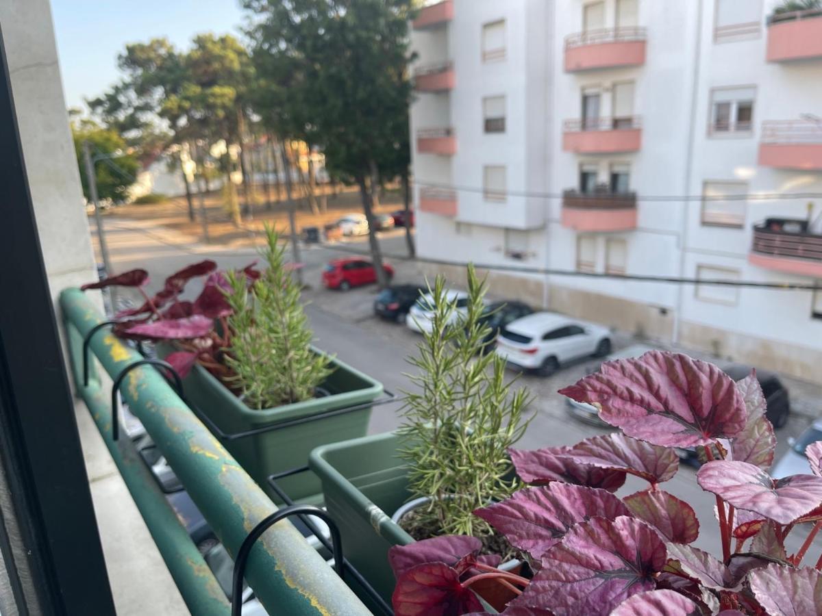 BestHomeStay- Caparica Beach Lisbon Almada Zewnętrze zdjęcie